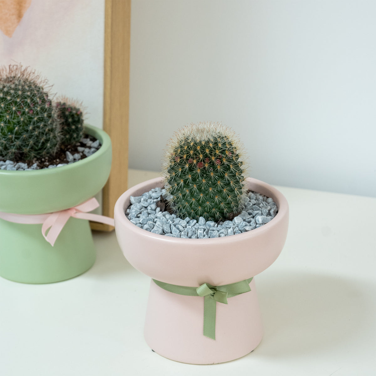 Cactus Chalice