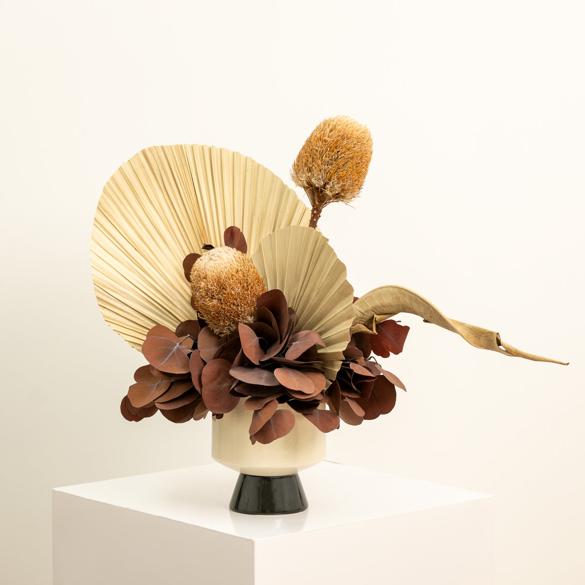 A dried floral arrangement featuring large cream fan palm leaves, brown seed pods, and dark reddish-brown petals in a cream ceramic vase with a black base, displayed on a white pedestal against a warm off-white background.