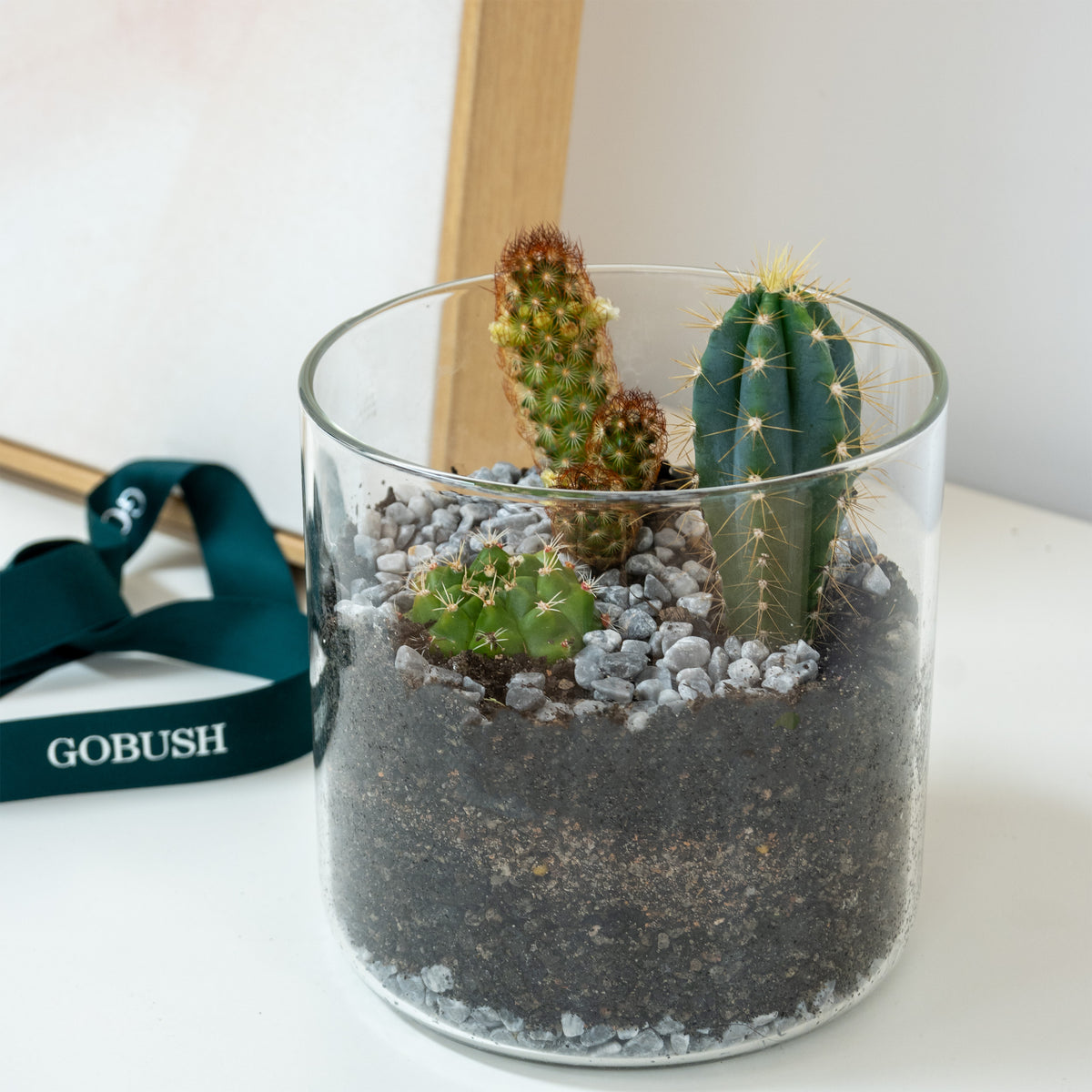 The Cactus Vessel